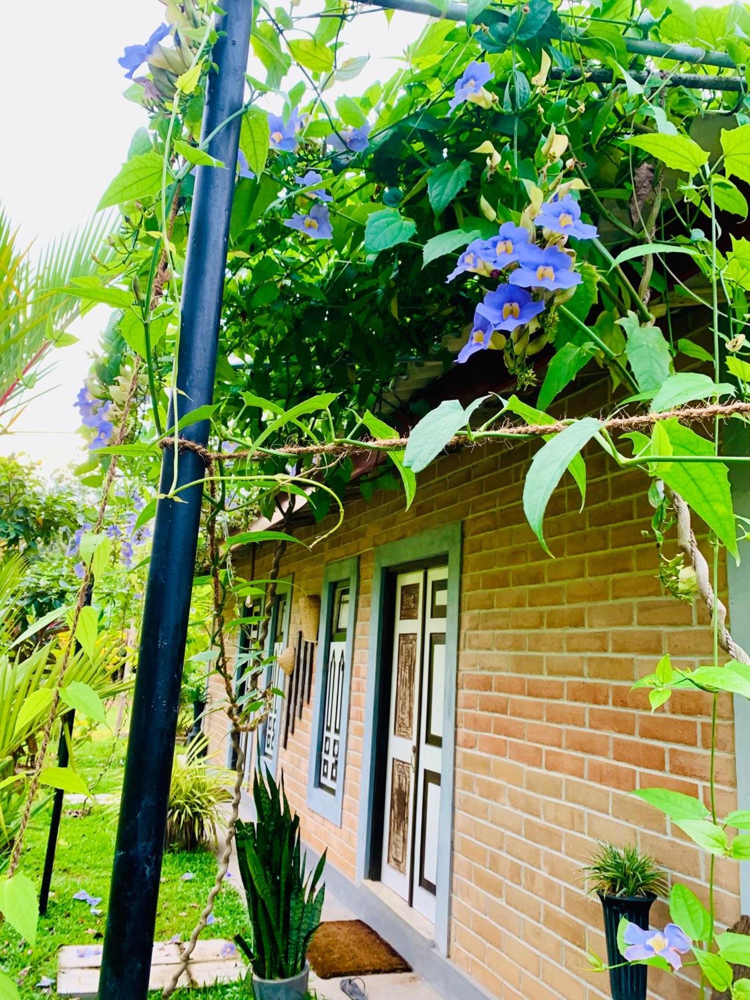 Ashok Villa Велигама Экстерьер фото