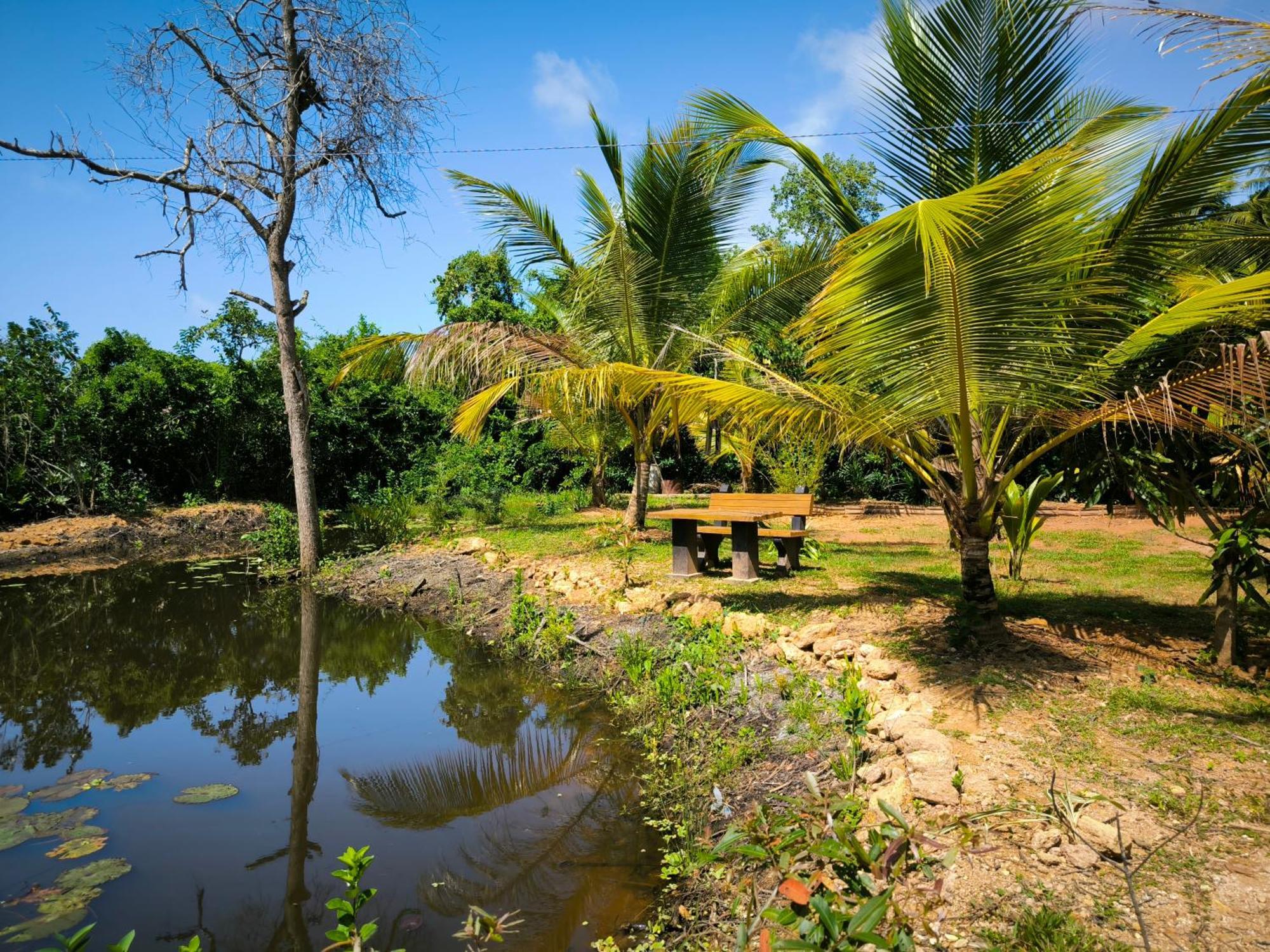 Ashok Villa Велигама Номер фото
