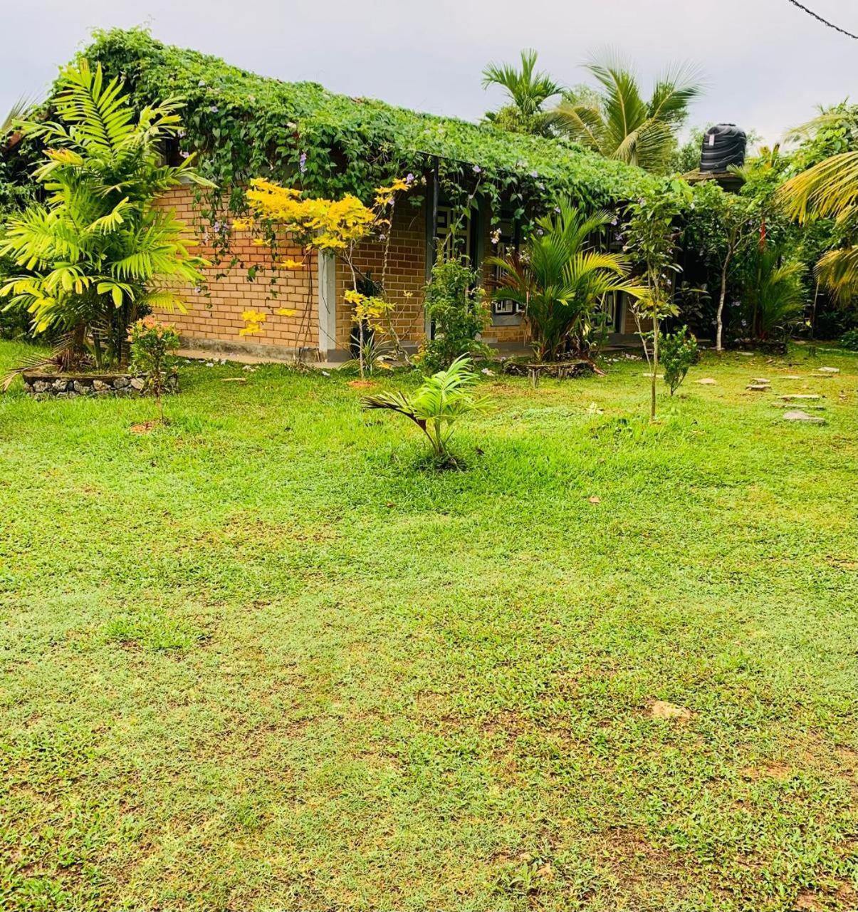 Ashok Villa Велигама Экстерьер фото