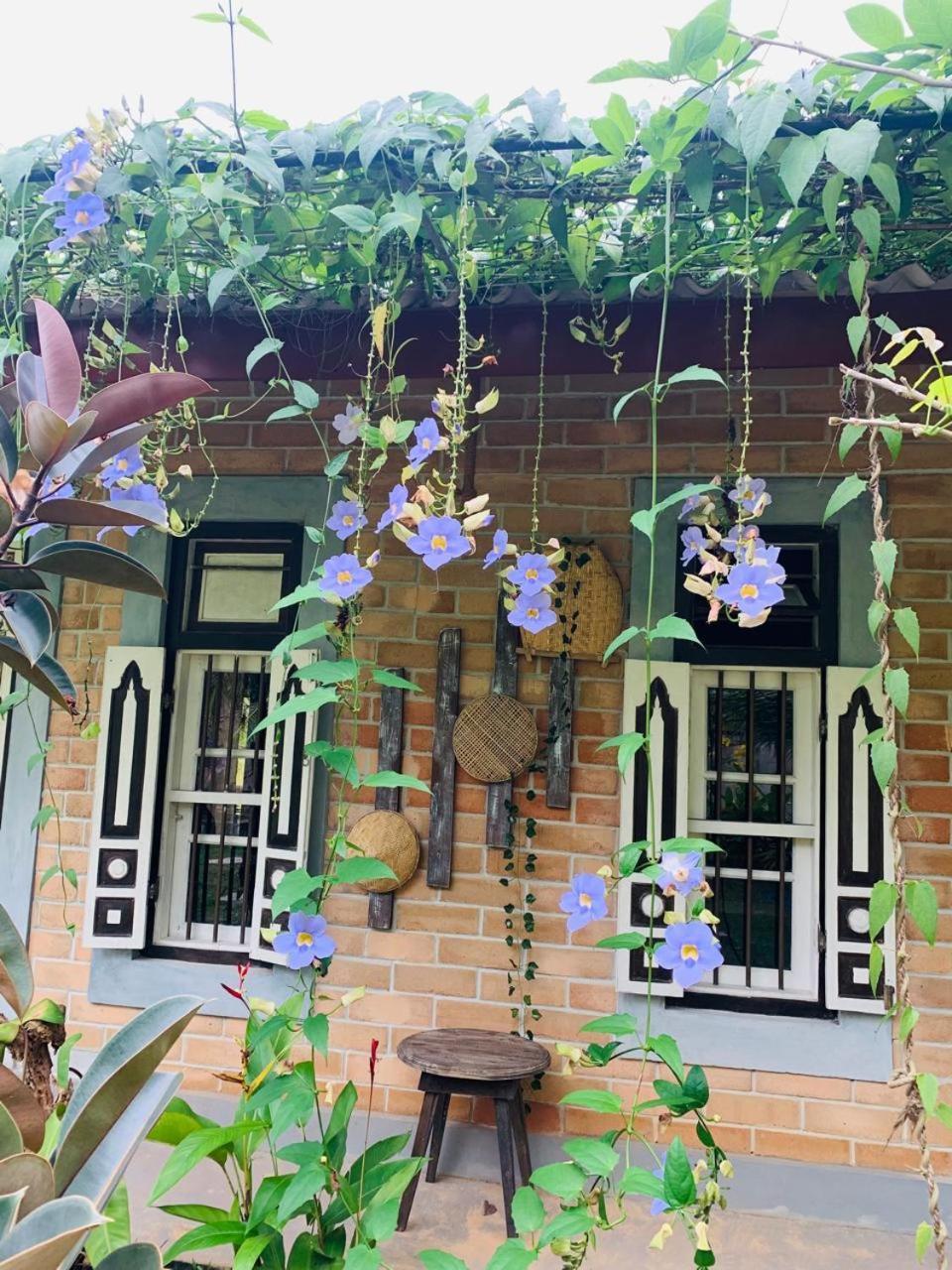 Ashok Villa Велигама Экстерьер фото